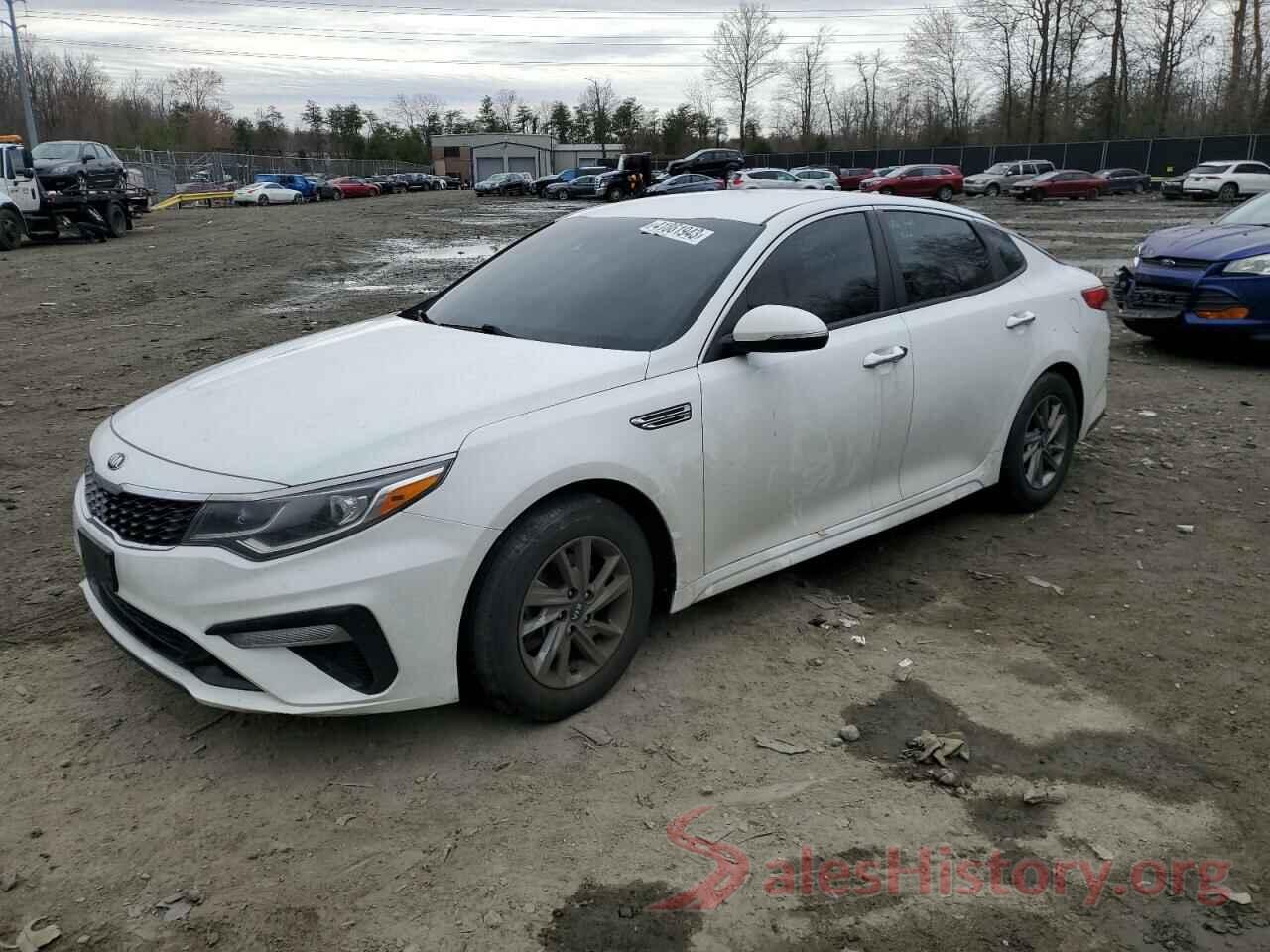 5XXGT4L33KG310888 2019 KIA OPTIMA