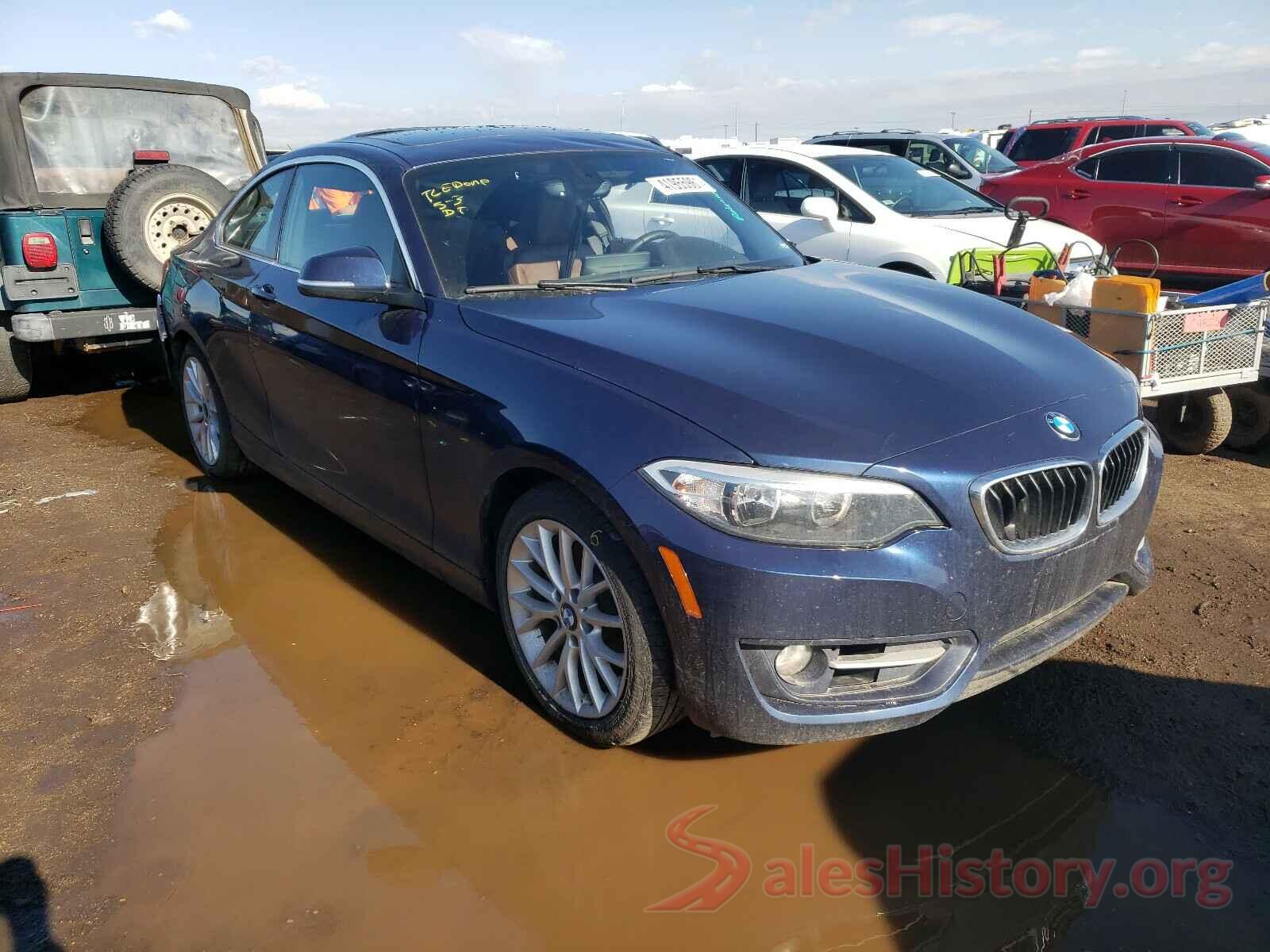 WBA1G9C57GV726086 2016 BMW 2 SERIES