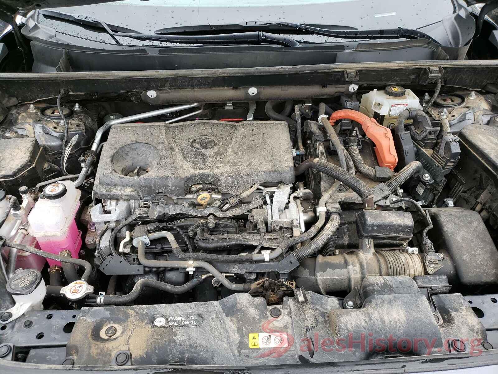 2T3DWRFV2KW015248 2019 TOYOTA RAV4