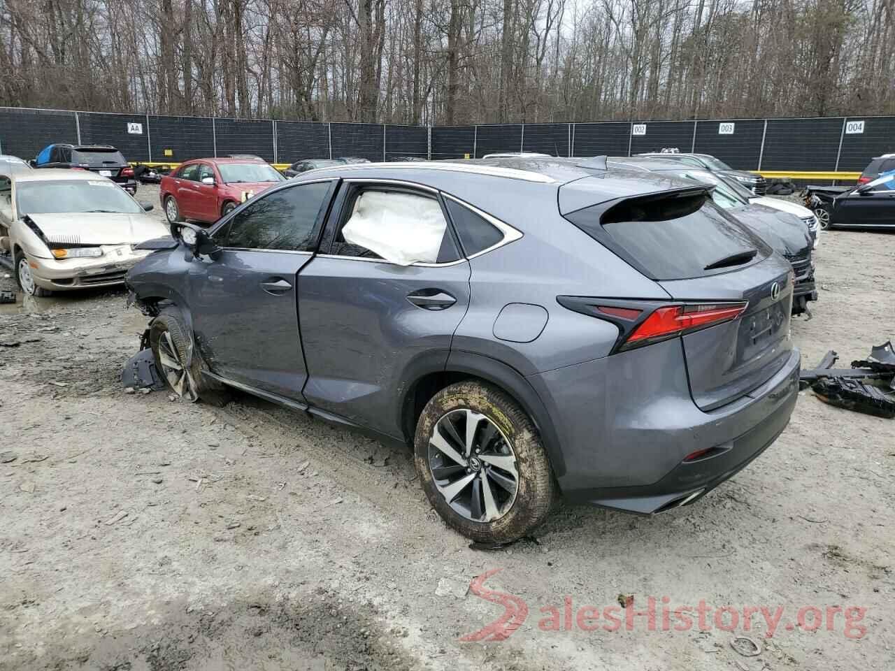 JTJGARDZ1M2249035 2021 LEXUS NX