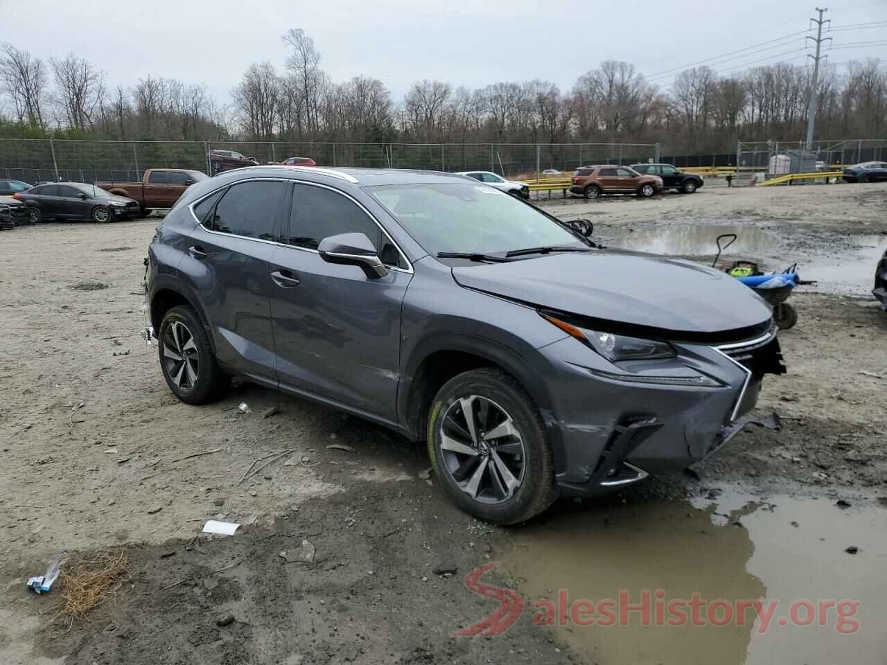 JTJGARDZ1M2249035 2021 LEXUS NX