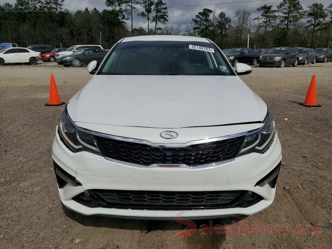 5XXGT4L39KG303668 2019 KIA OPTIMA