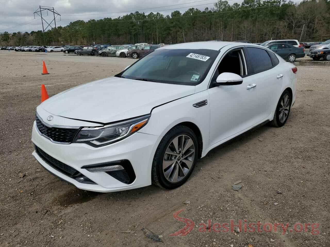 5XXGT4L39KG303668 2019 KIA OPTIMA