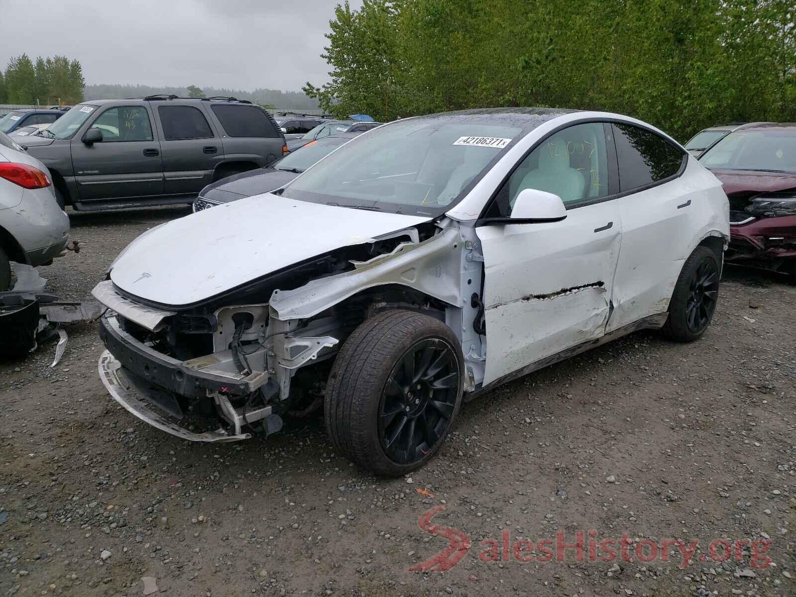 5YJYGDEE2MF071122 2021 TESLA MODEL Y