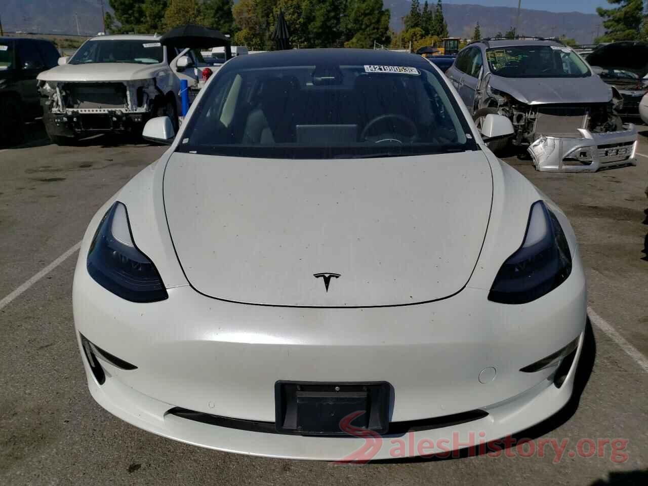 5YJ3E1EB8NF187981 2022 TESLA MODEL 3