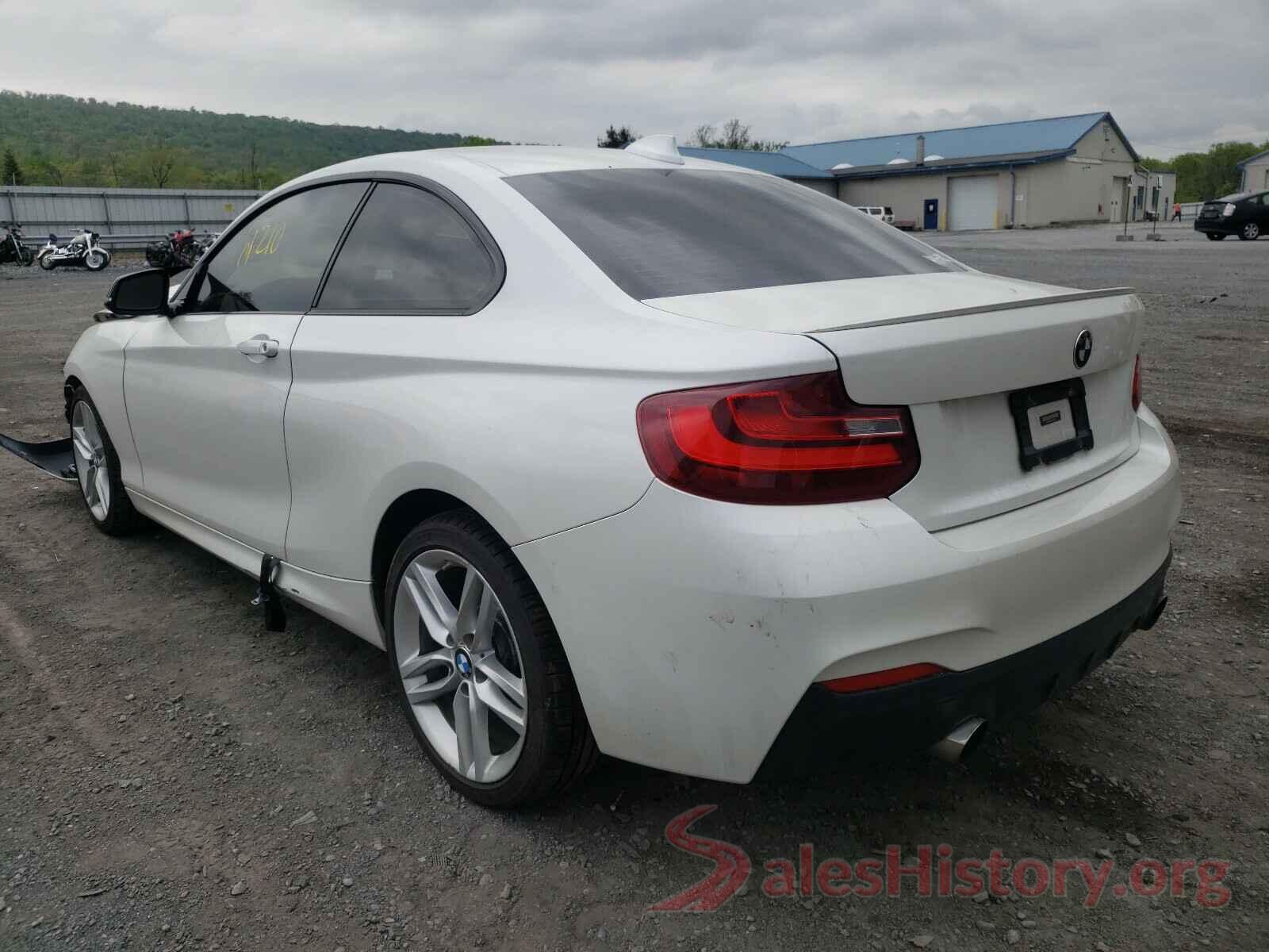 WBA1G9C52GV598615 2016 BMW 2 SERIES