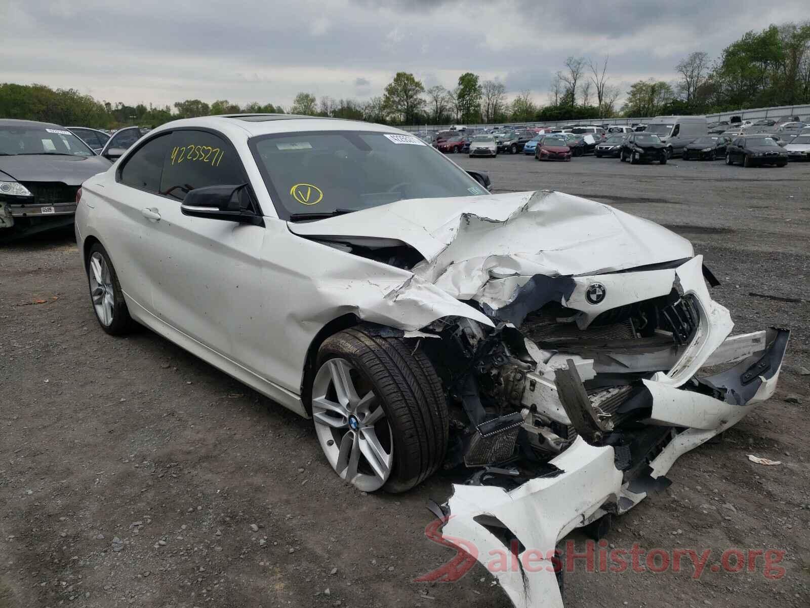 WBA1G9C52GV598615 2016 BMW 2 SERIES