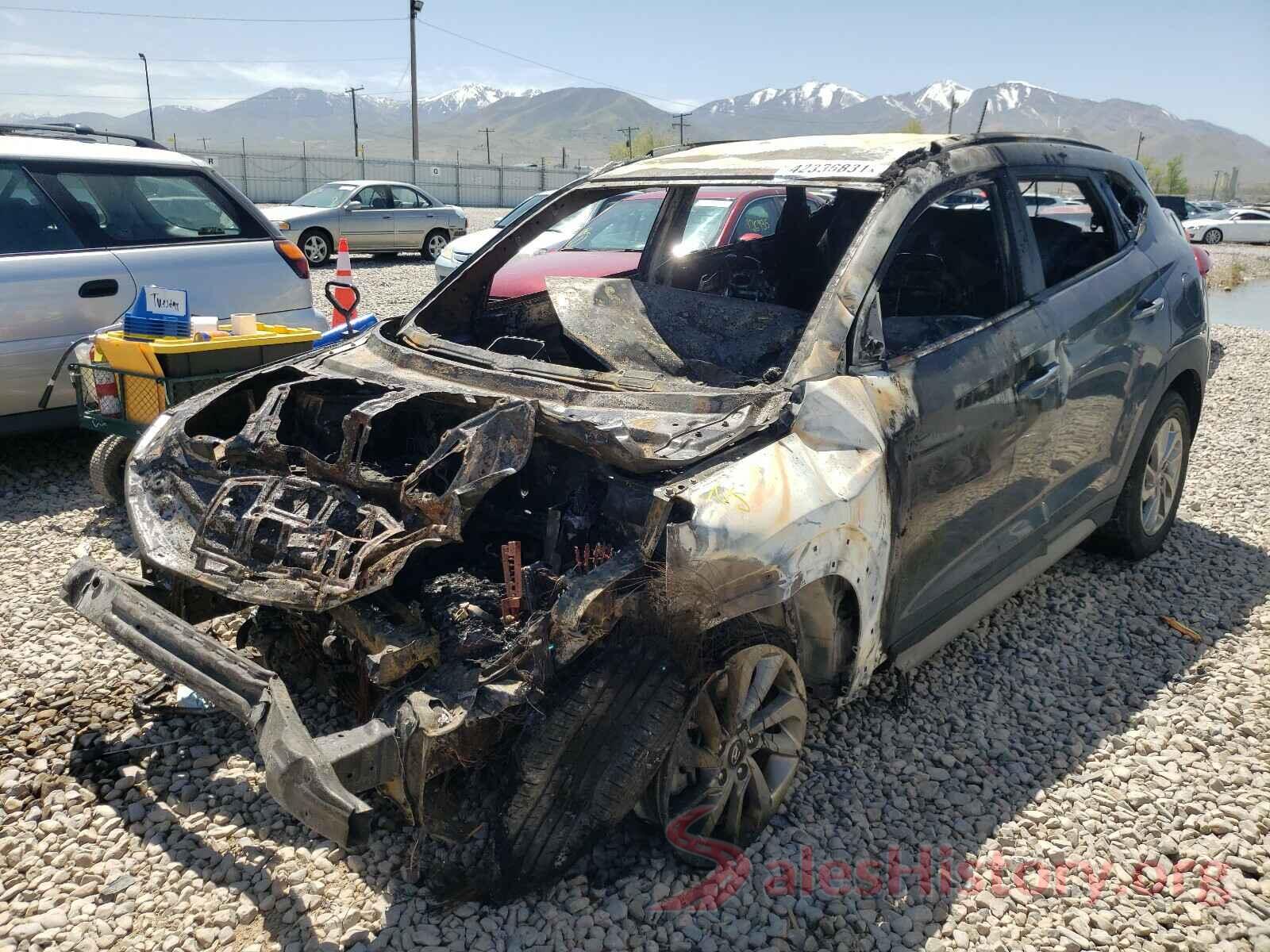 KM8J3CA43HU562876 2017 HYUNDAI TUCSON