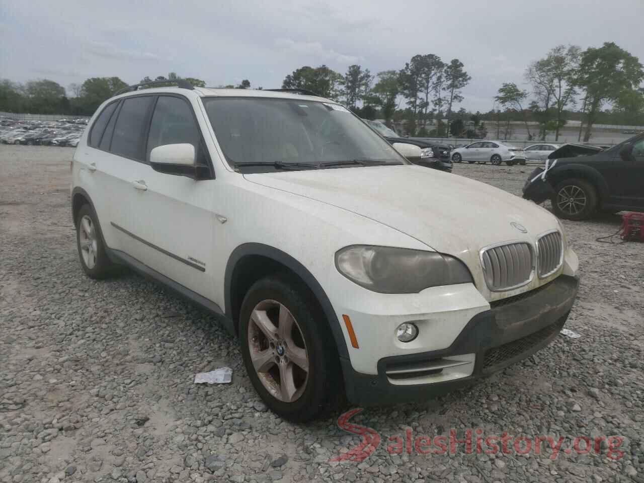 5UXFF03549LJ96261 2009 BMW X5