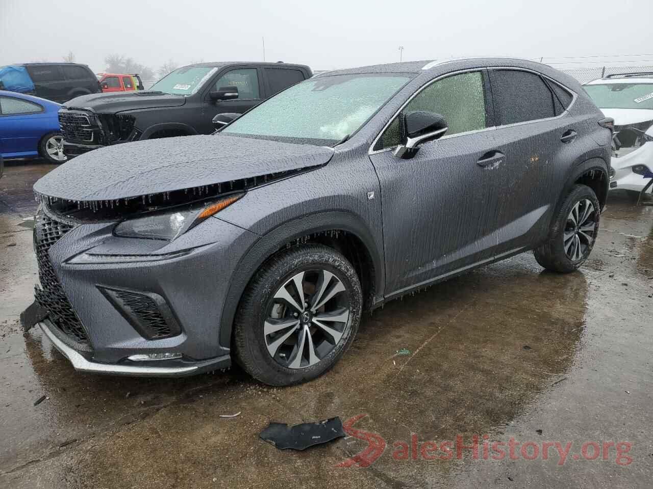 JTJSARDZXM2263087 2021 LEXUS NX