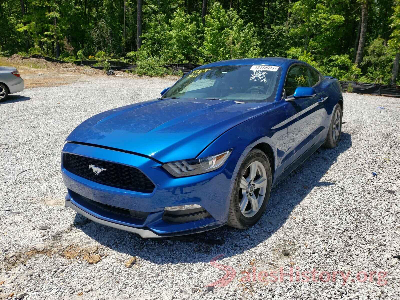 1FA6P8AM1H5342468 2017 FORD MUSTANG