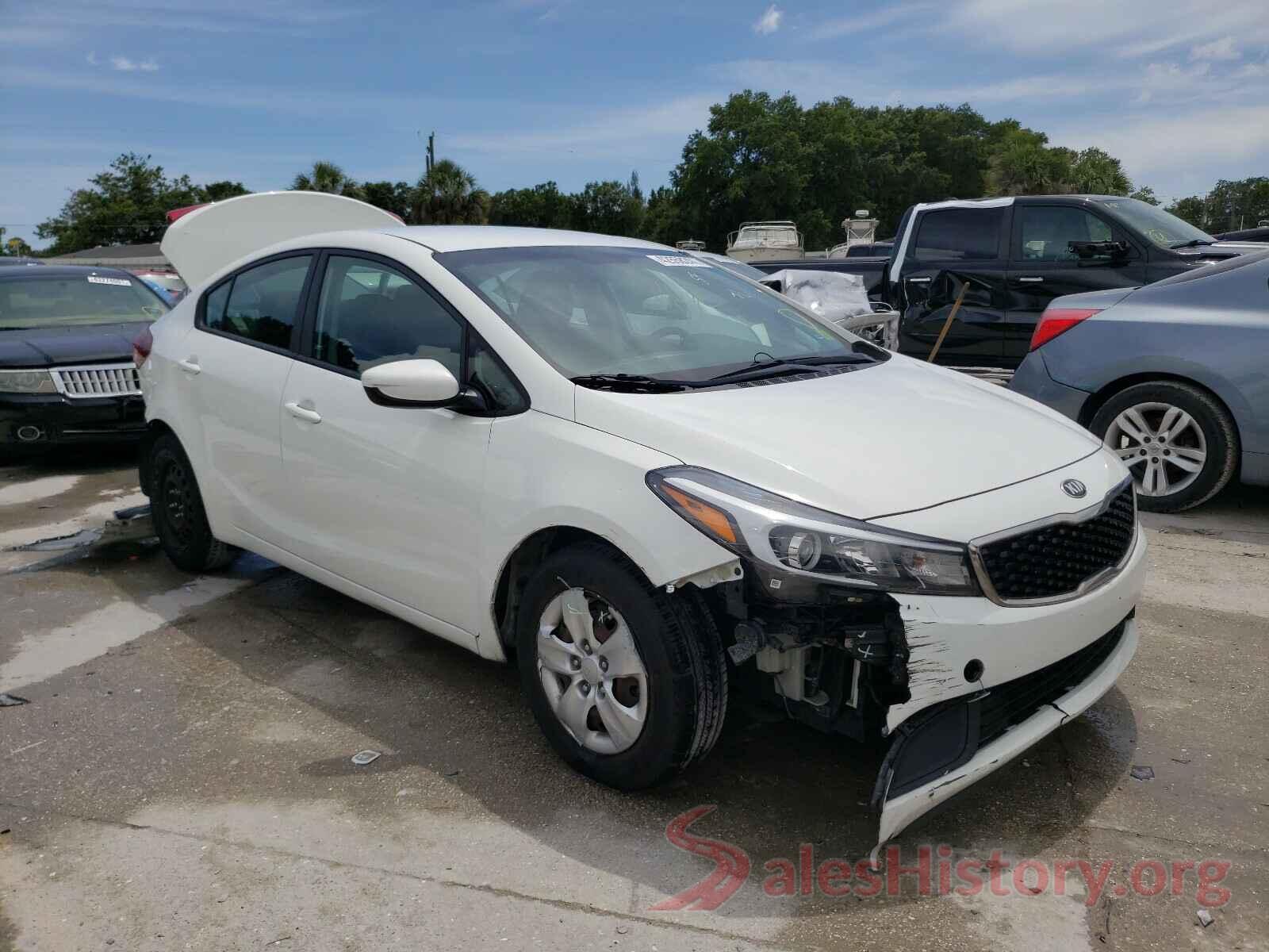 3KPFK4A76HE029206 2017 KIA FORTE