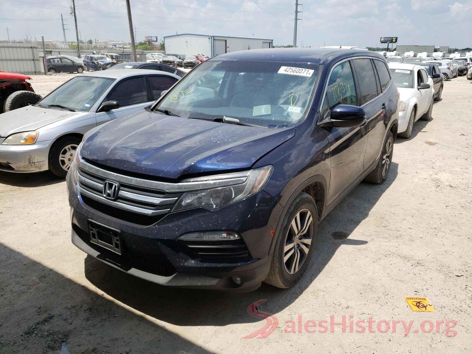 5FNYF5H31GB019066 2016 HONDA PILOT