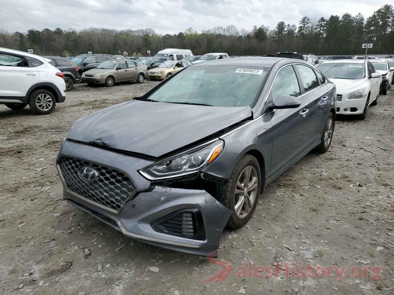 5NPE34AF1KH795167 2019 HYUNDAI SONATA