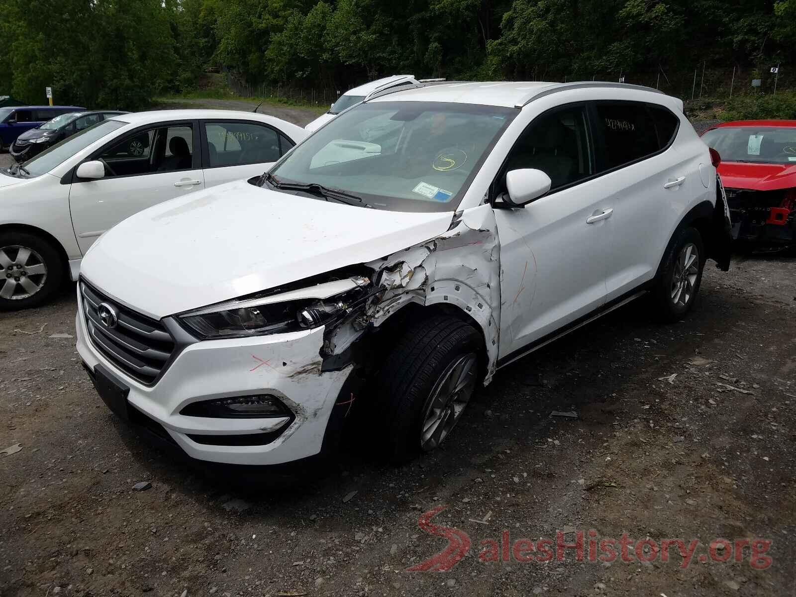 KM8J3CA43HU479495 2017 HYUNDAI TUCSON