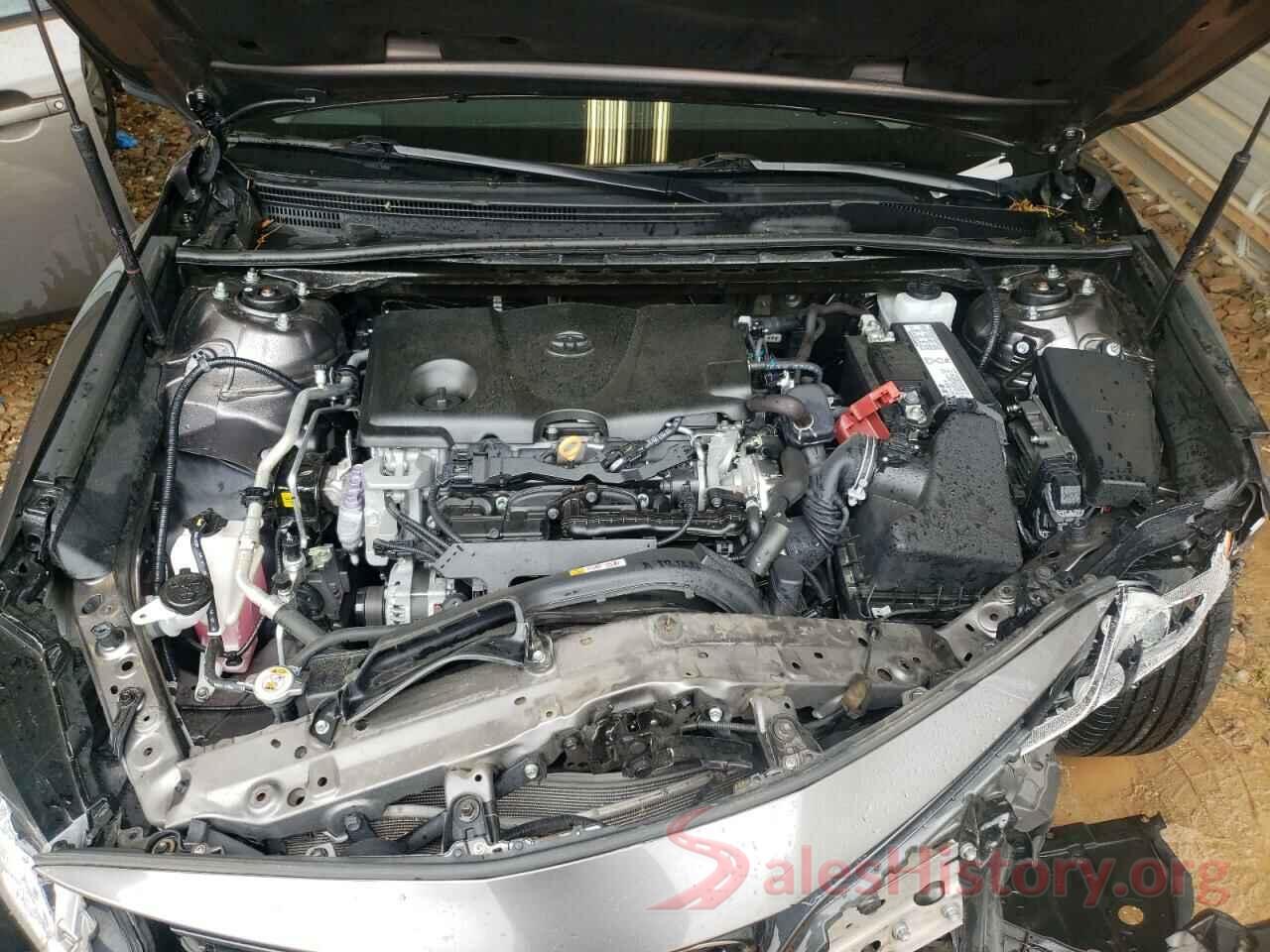 4T1B11HK6KU803856 2019 TOYOTA CAMRY