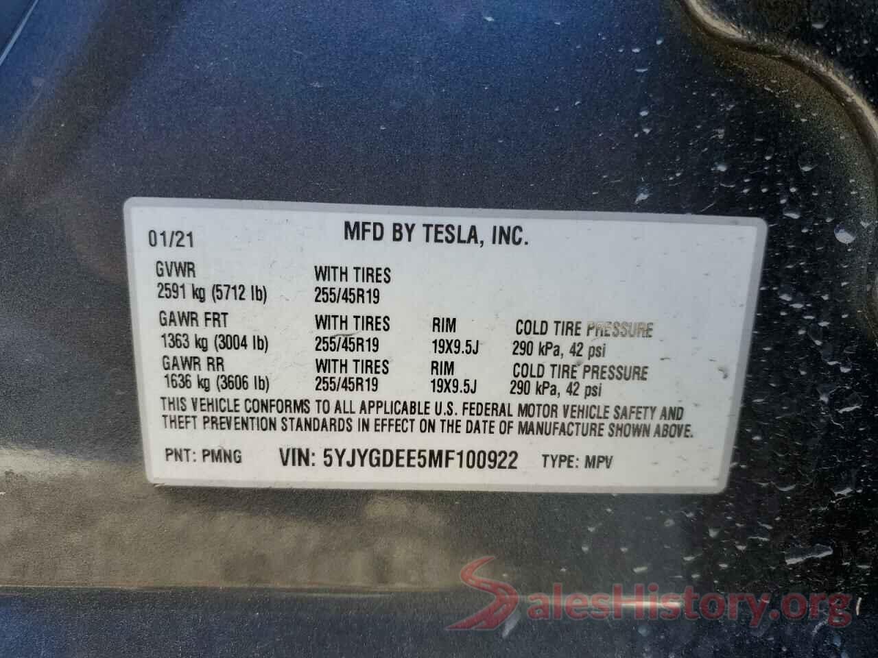 5YJYGDEE5MF100922 2021 TESLA MODEL Y