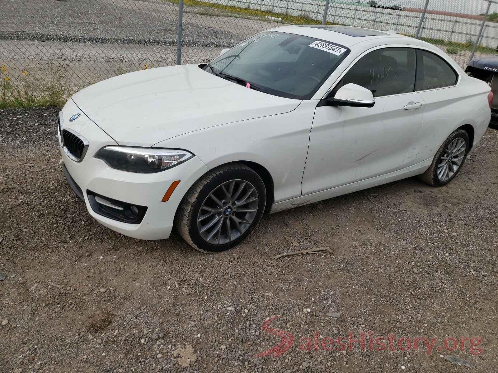 WBA1F9C54GV545272 2016 BMW 2 SERIES