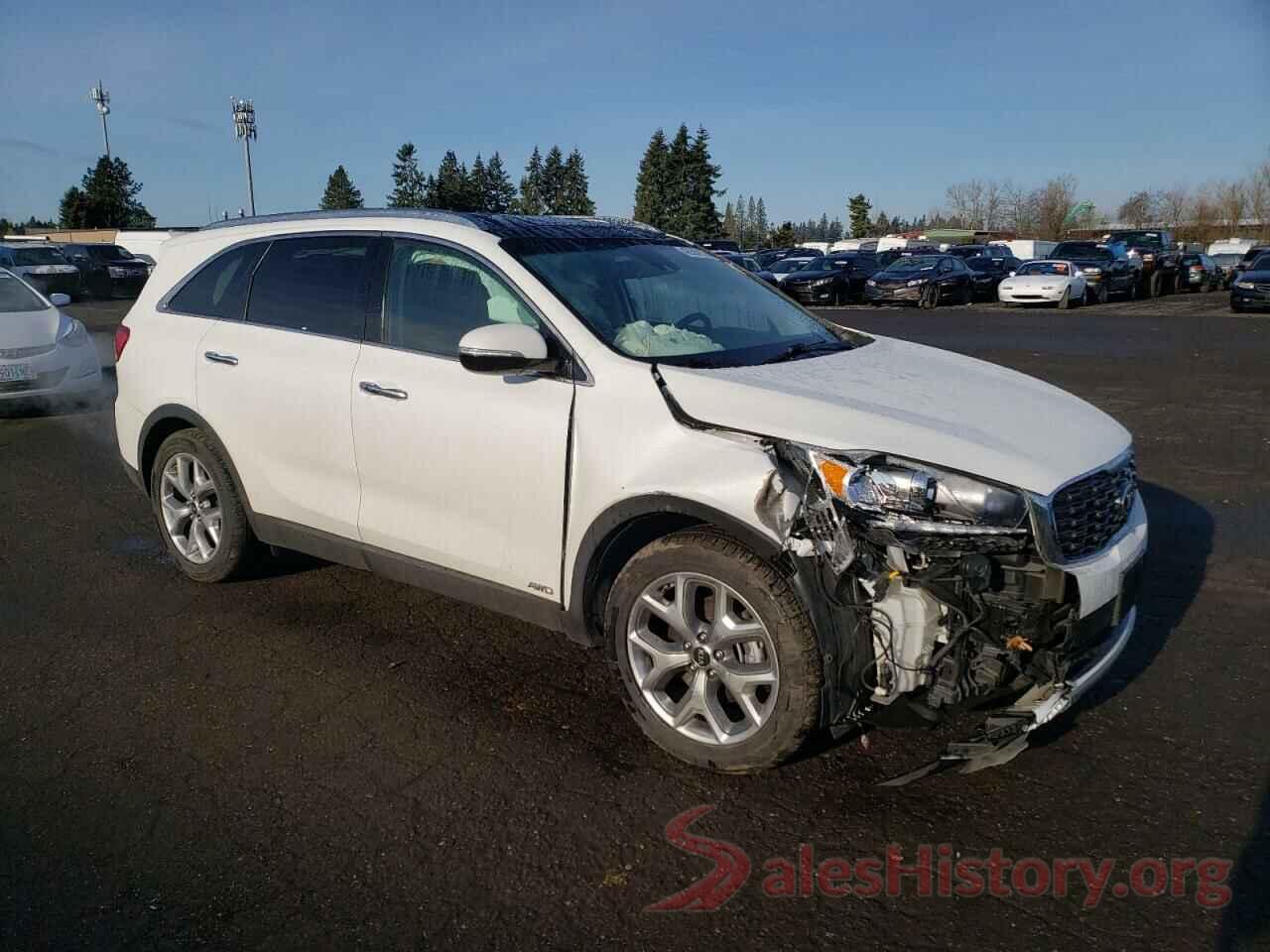 5XYPHDA52KG607667 2019 KIA SORENTO