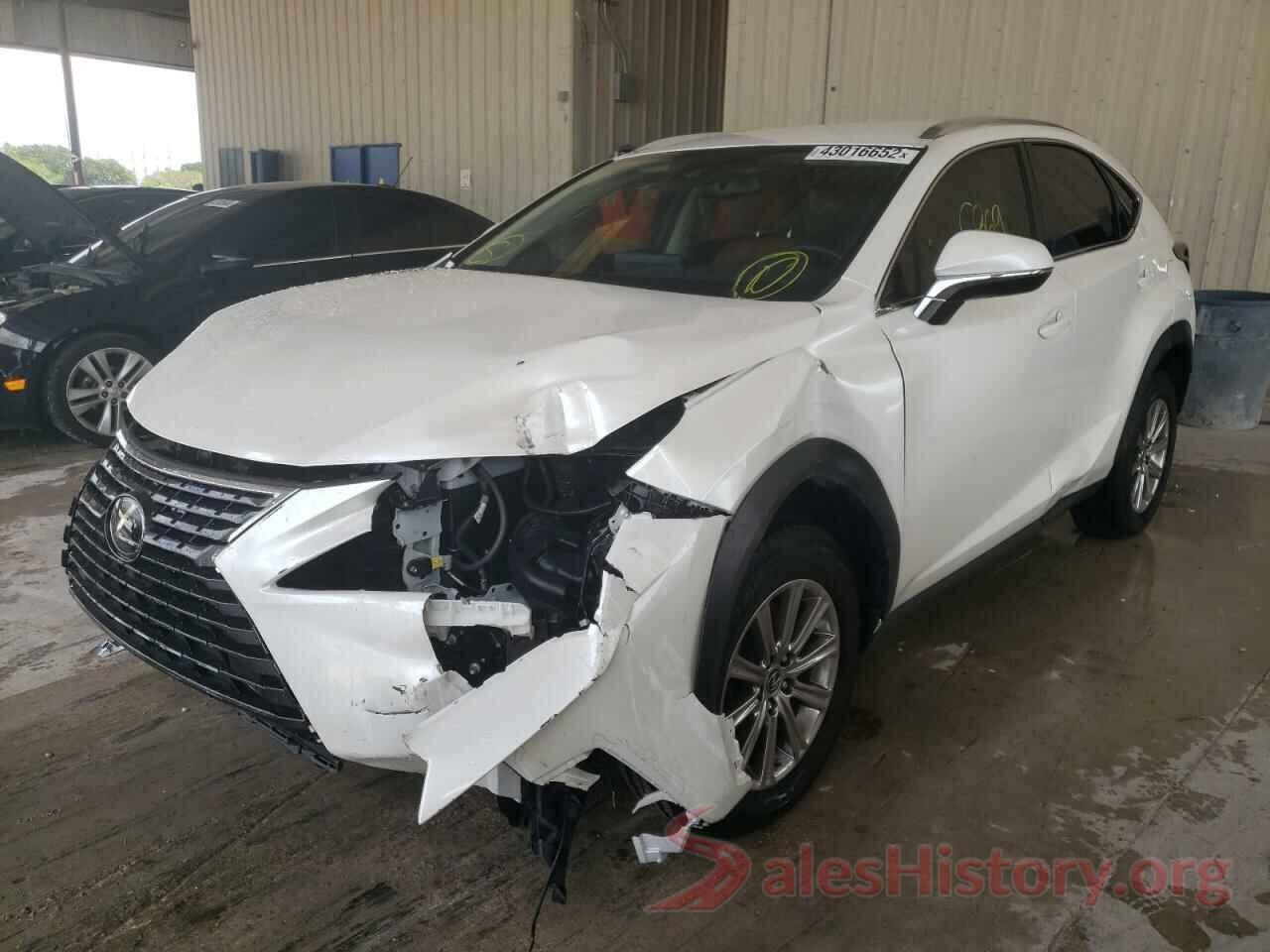 JTJDARBZ9M5033146 2021 LEXUS NX