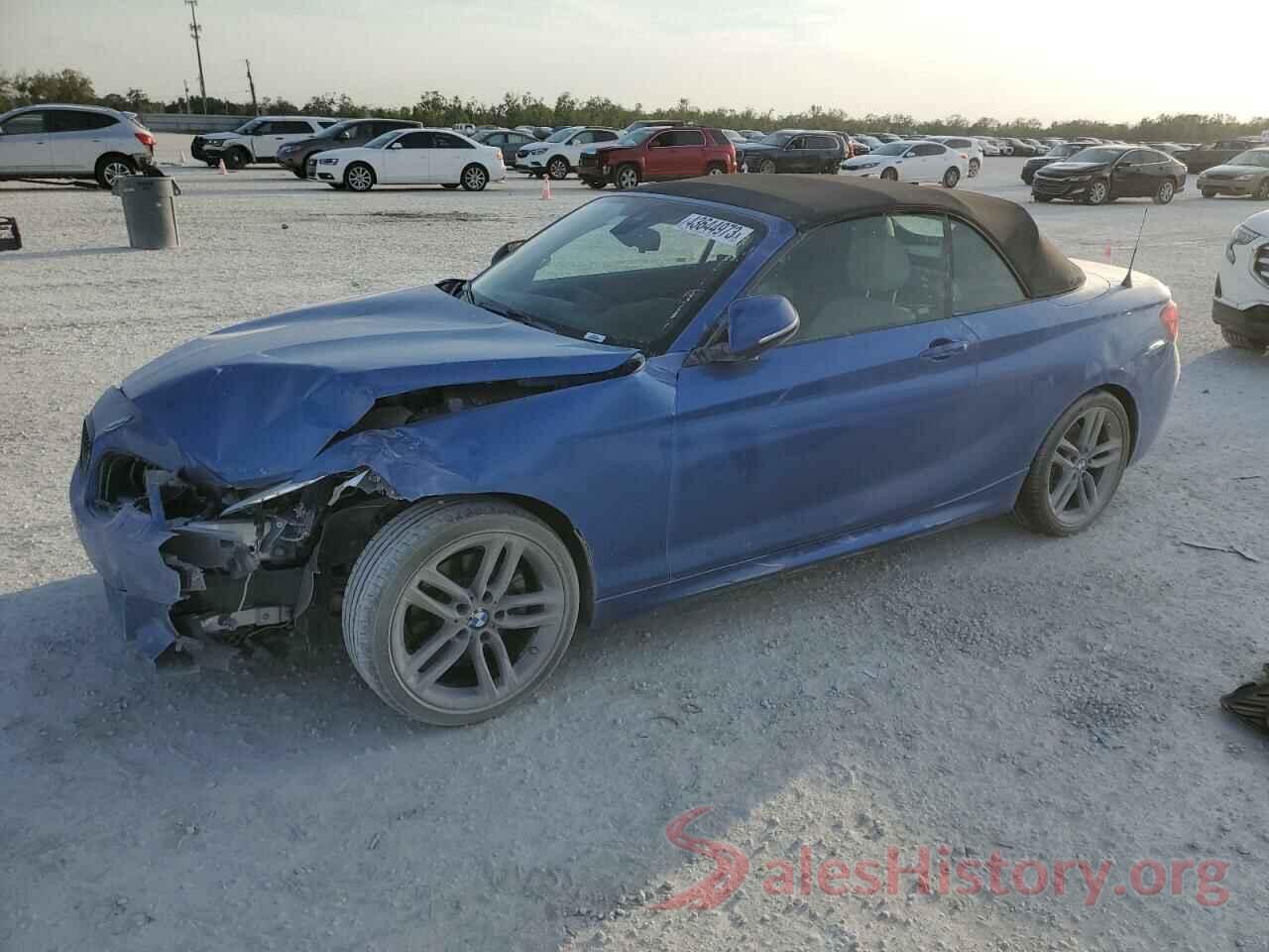 WBA2M7C55JVD51603 2018 BMW 2 SERIES