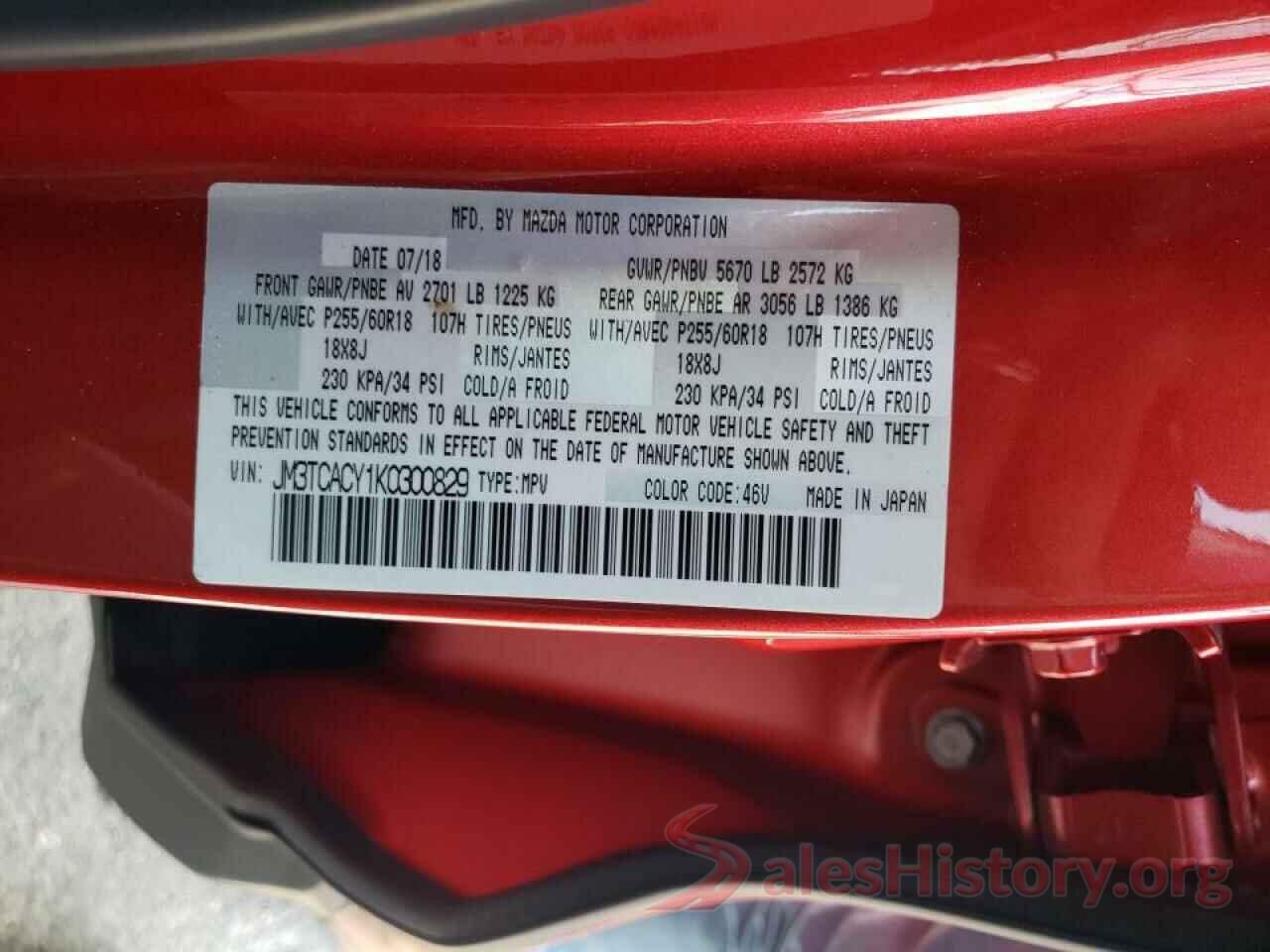 JM3TCACY1K0300829 2019 MAZDA CX-9