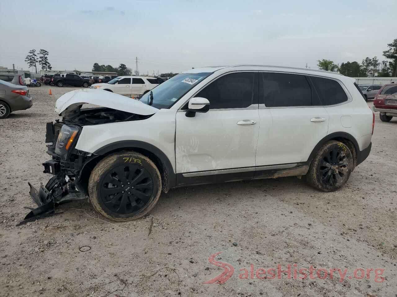 5XYP34HC9LG073300 2020 KIA TELLURIDE