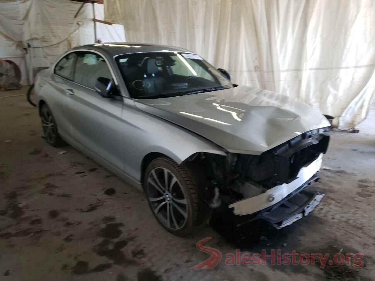 WBA2J3C52JVD48448 2018 BMW 2 SERIES