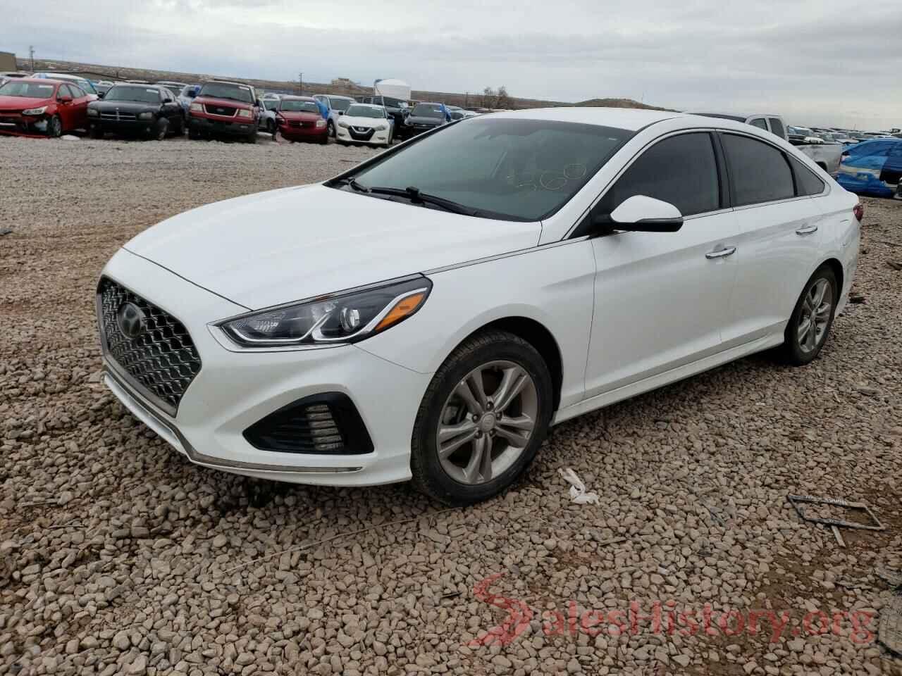 5NPE34AF7KH790068 2019 HYUNDAI SONATA