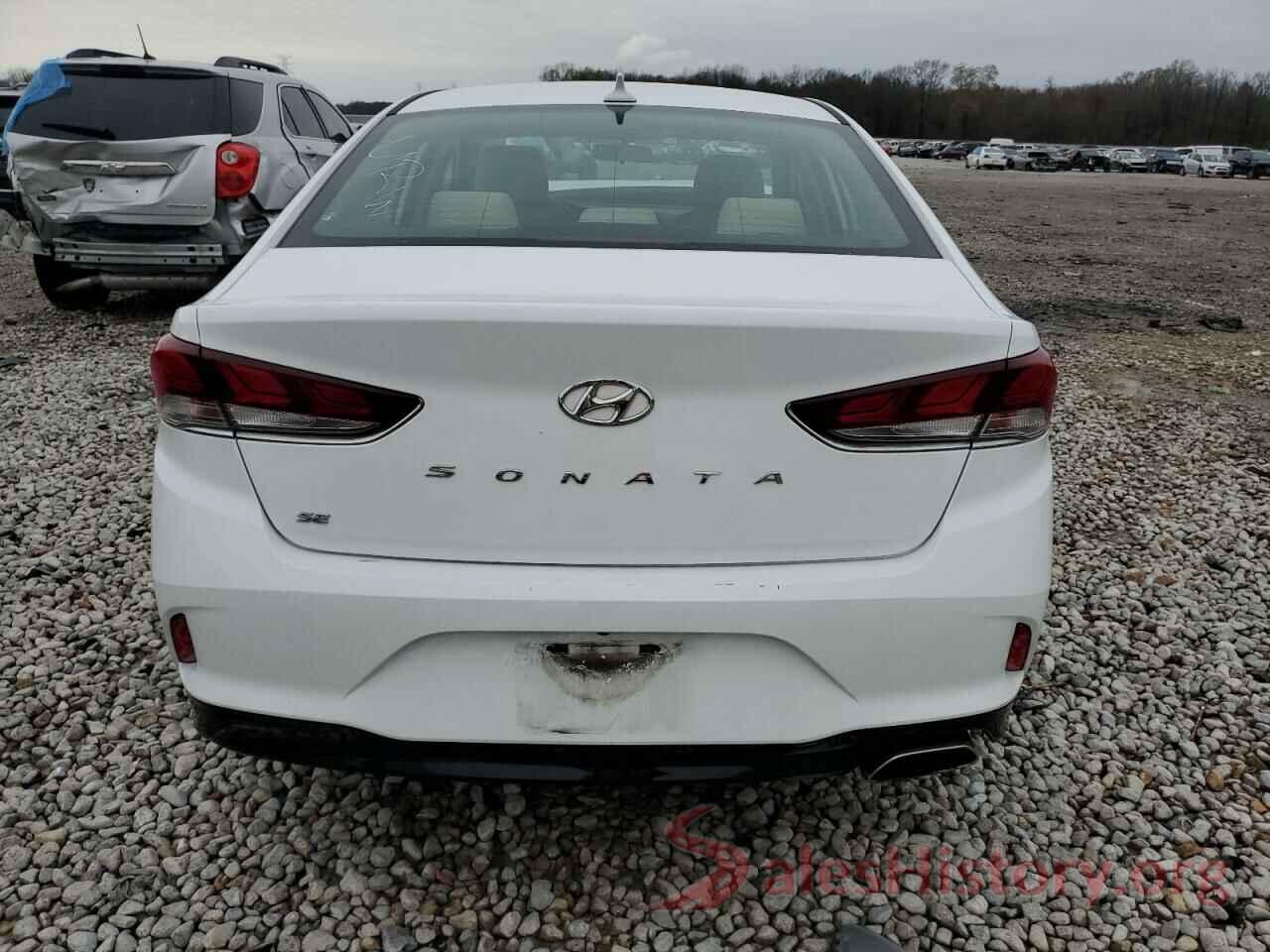 5NPE24AF4KH741137 2019 HYUNDAI SONATA