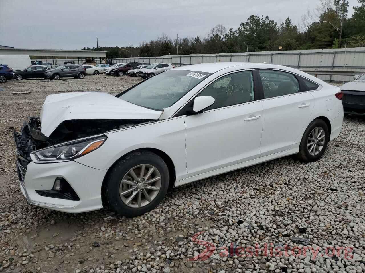 5NPE24AF4KH741137 2019 HYUNDAI SONATA