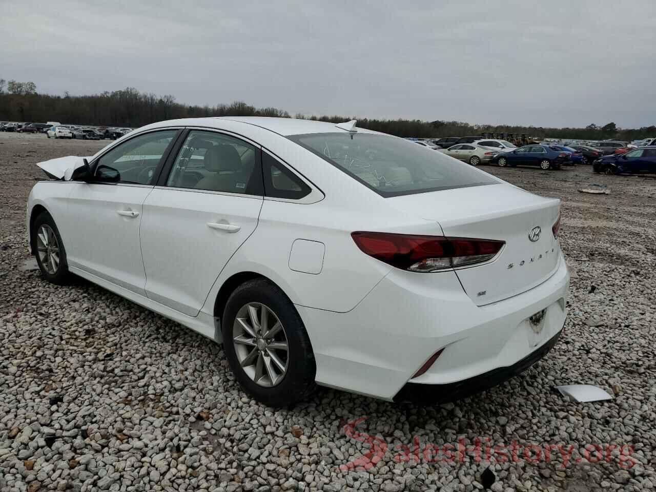 5NPE24AF4KH741137 2019 HYUNDAI SONATA