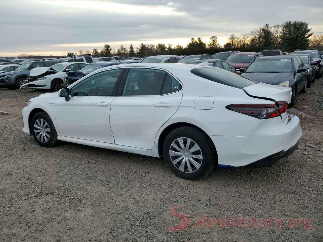 4T1C31AK9MU568896 2021 TOYOTA CAMRY