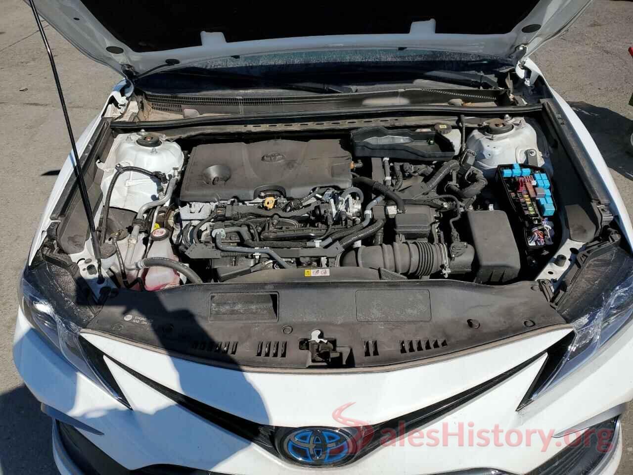 4T1C31AK9MU568896 2021 TOYOTA CAMRY