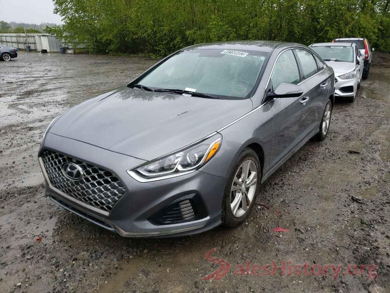 5NPE34AF0KH769224 2019 HYUNDAI SONATA