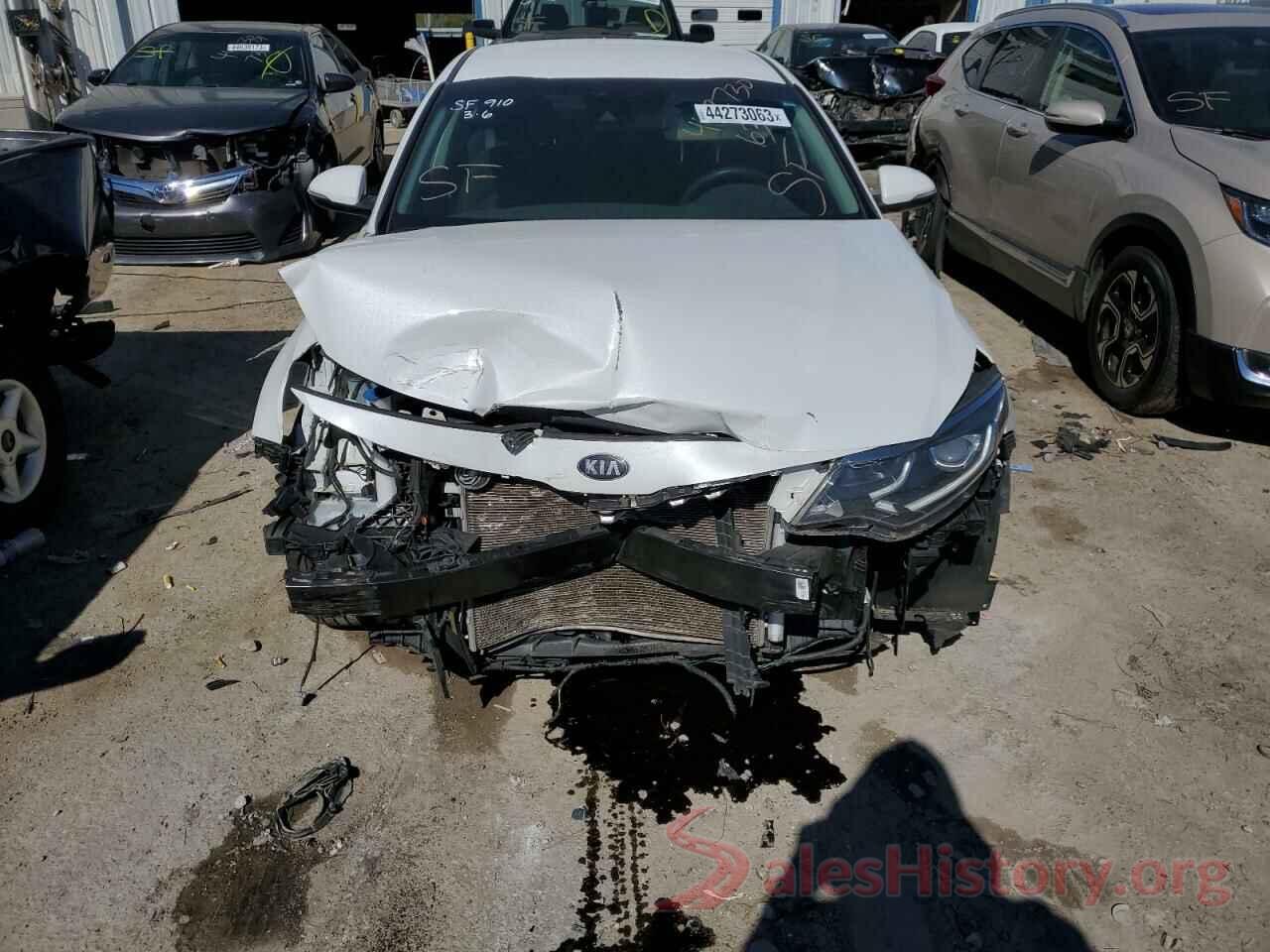 5XXGT4L36KG355906 2019 KIA OPTIMA