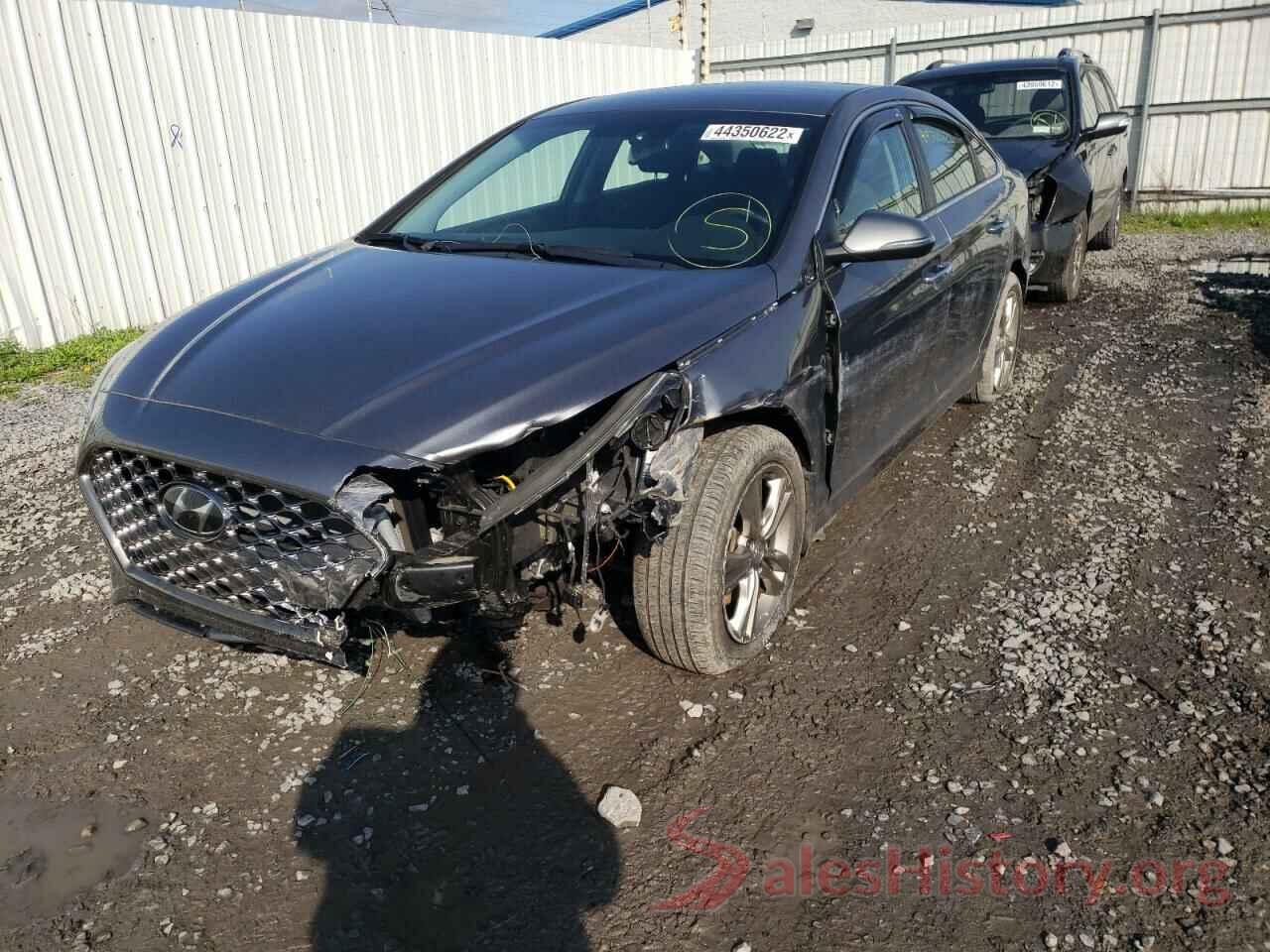 5NPE34AF5KH813637 2019 HYUNDAI SONATA