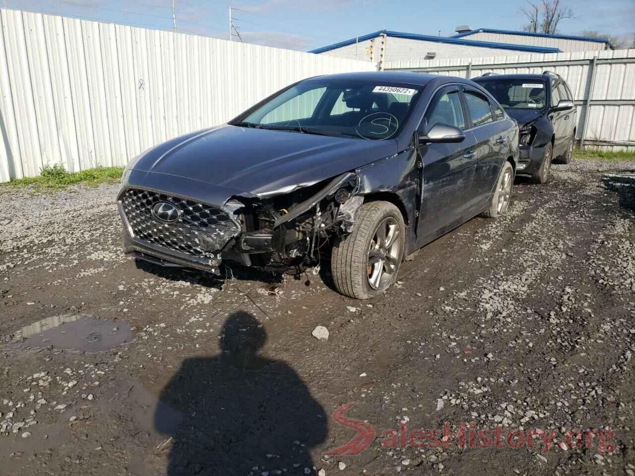 5NPE34AF5KH813637 2019 HYUNDAI SONATA