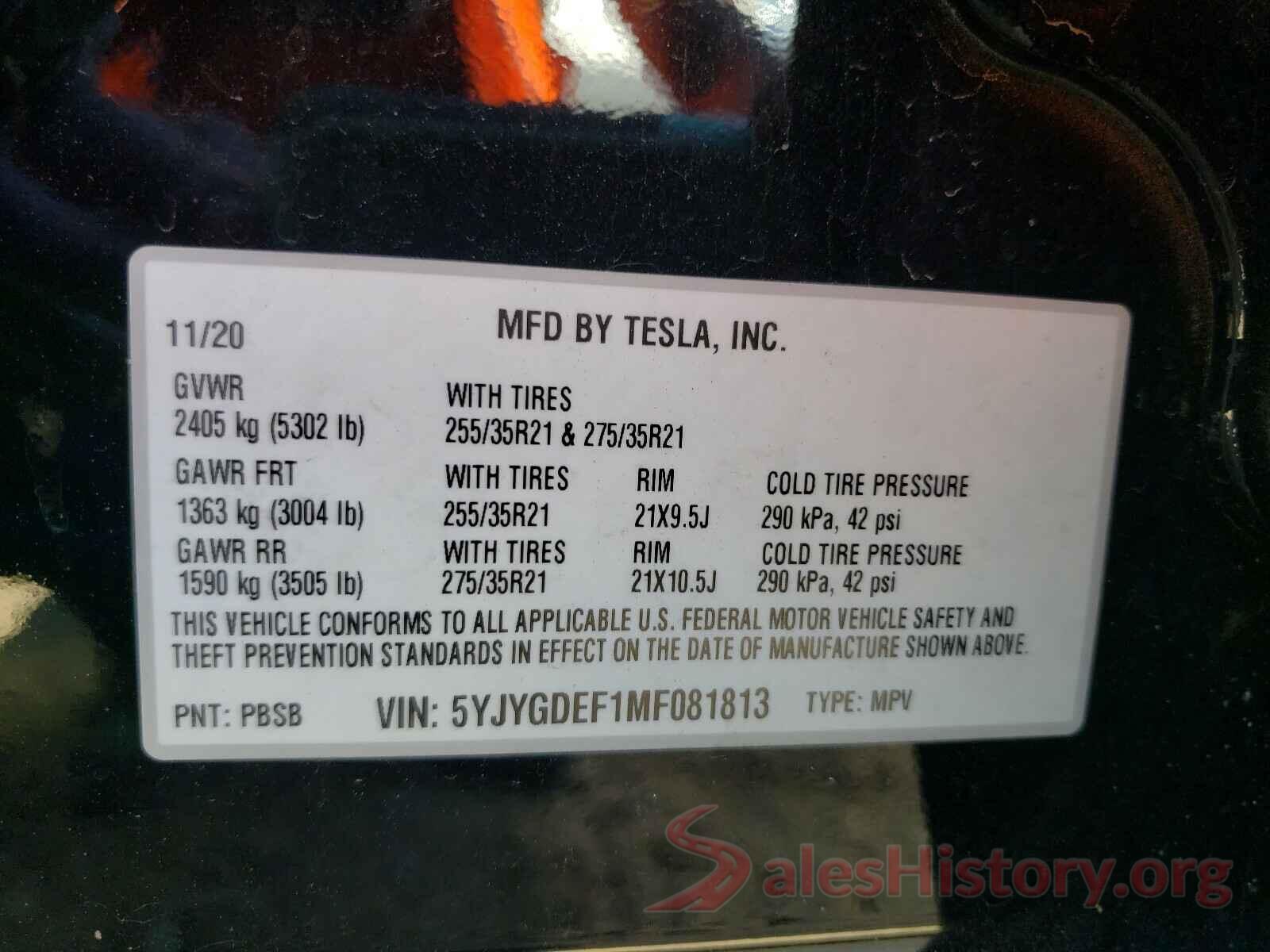 5YJYGDEF1MF081813 2021 TESLA MODEL Y