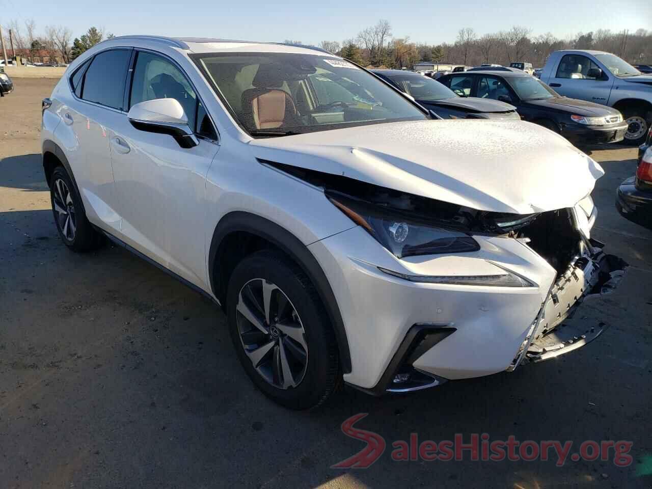 JTJGARDZ3M5031158 2021 LEXUS NX