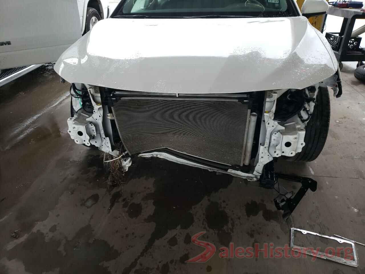 4T1B11HK7KU256466 2019 TOYOTA CAMRY