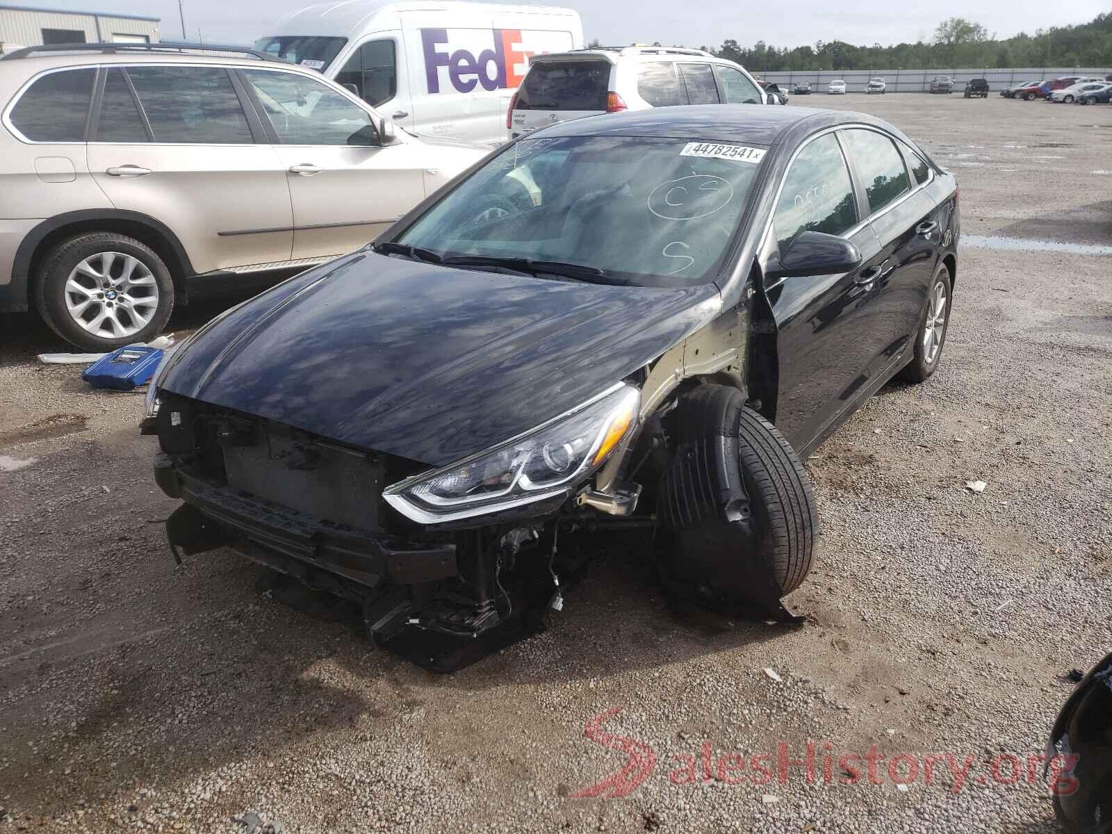 5NPE24AF6KH805923 2019 HYUNDAI SONATA