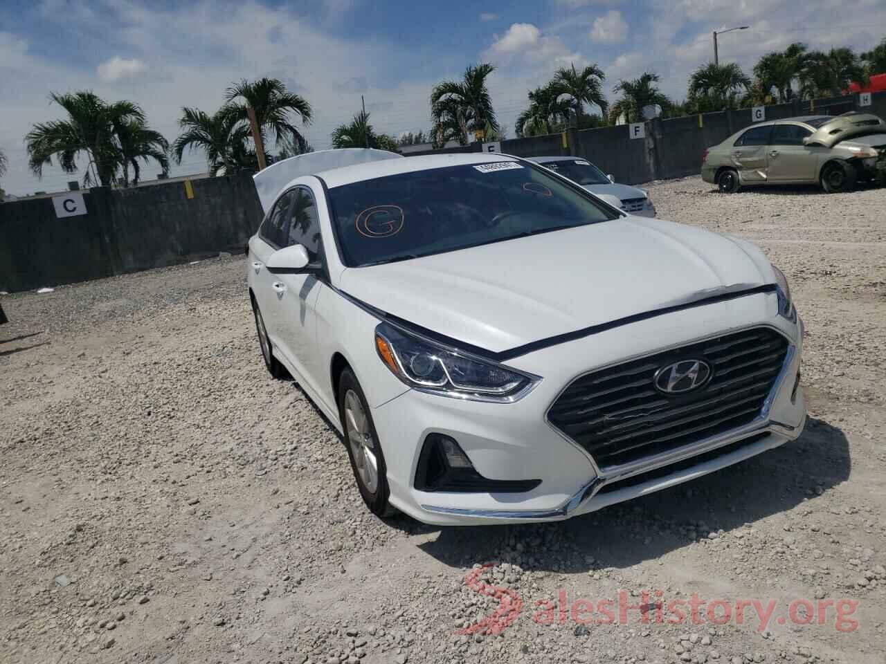 5NPE24AF6KH761065 2019 HYUNDAI SONATA