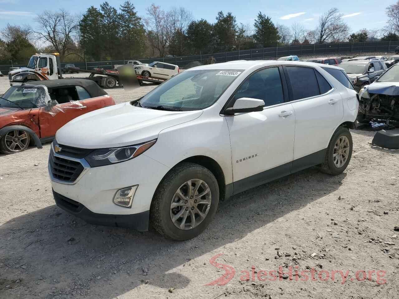 2GNAXJEV3K6116434 2019 CHEVROLET EQUINOX