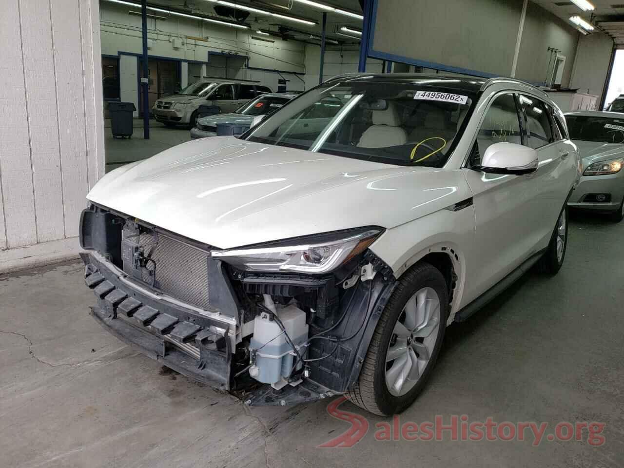 3PCAJ5M33KF124156 2019 INFINITI QX50