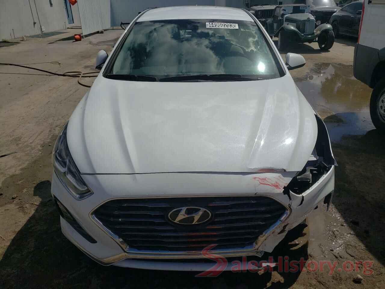 5NPE24AF0KH788228 2019 HYUNDAI SONATA