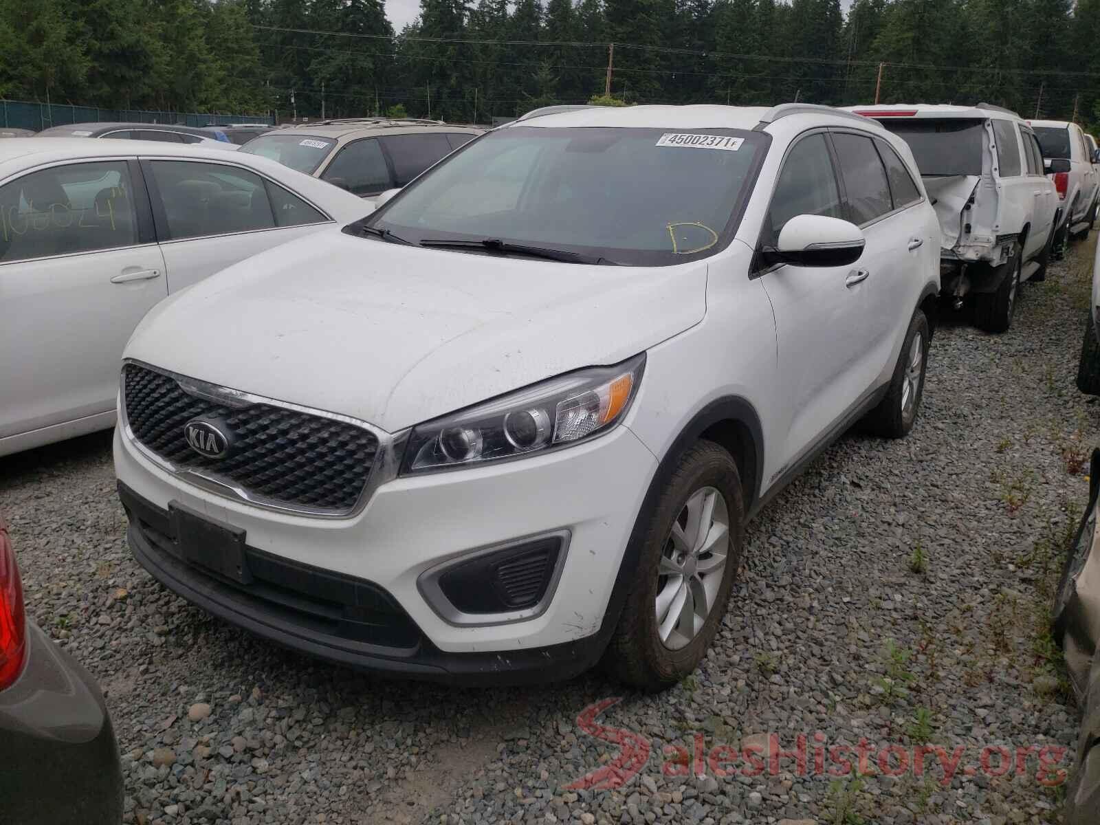 5XYPGDA50JG408361 2018 KIA SORENTO