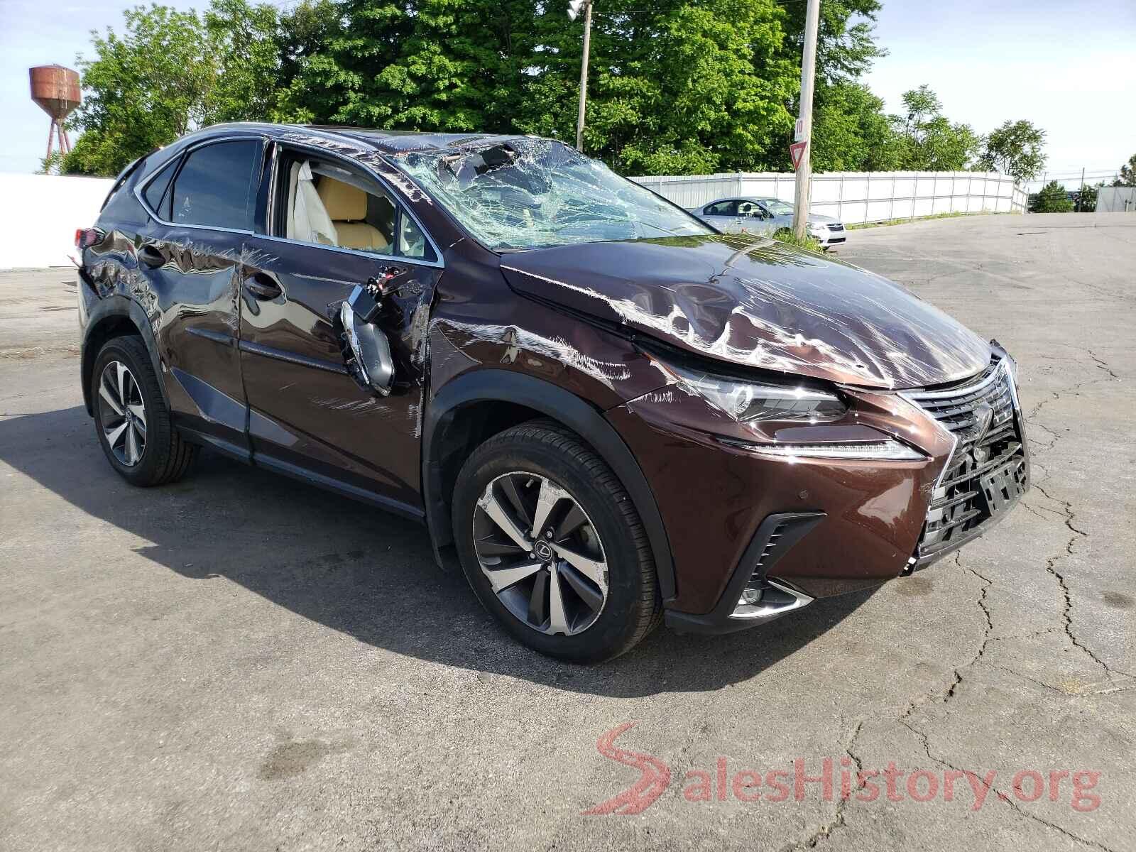 JTJBARBZ1K2194600 2019 LEXUS NX