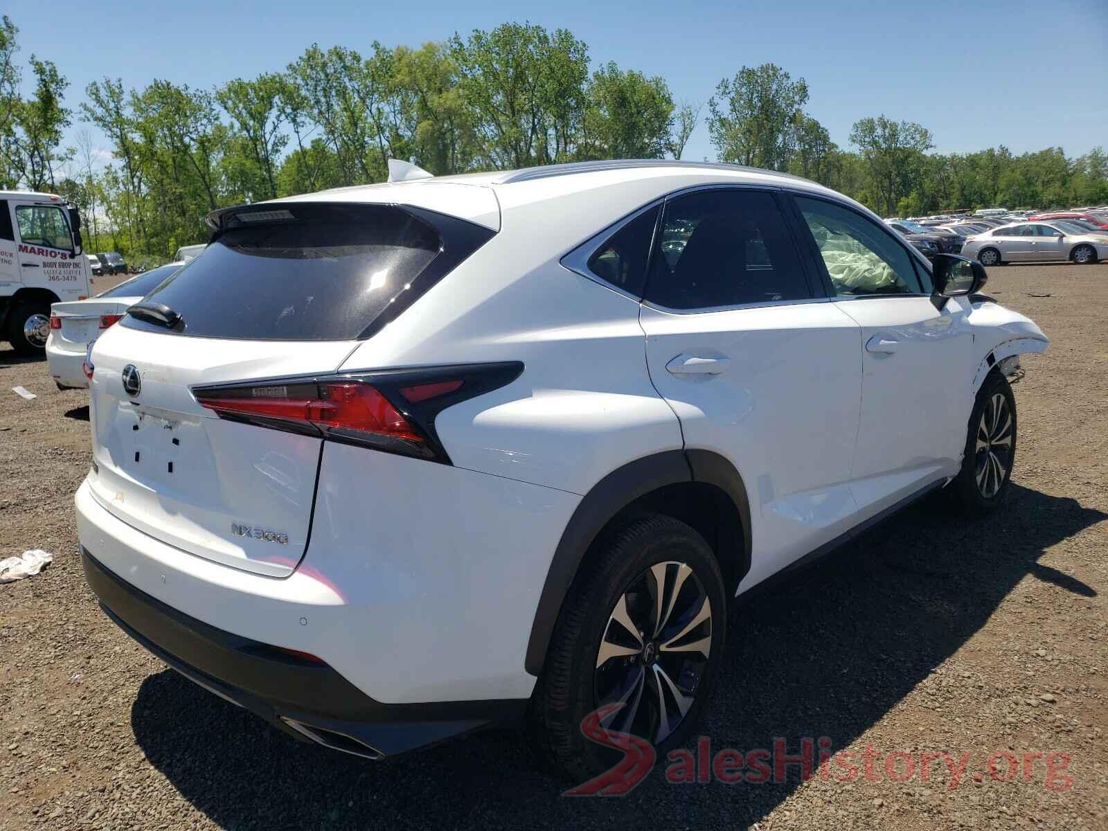 JTJBARBZ4K2213673 2019 LEXUS NX