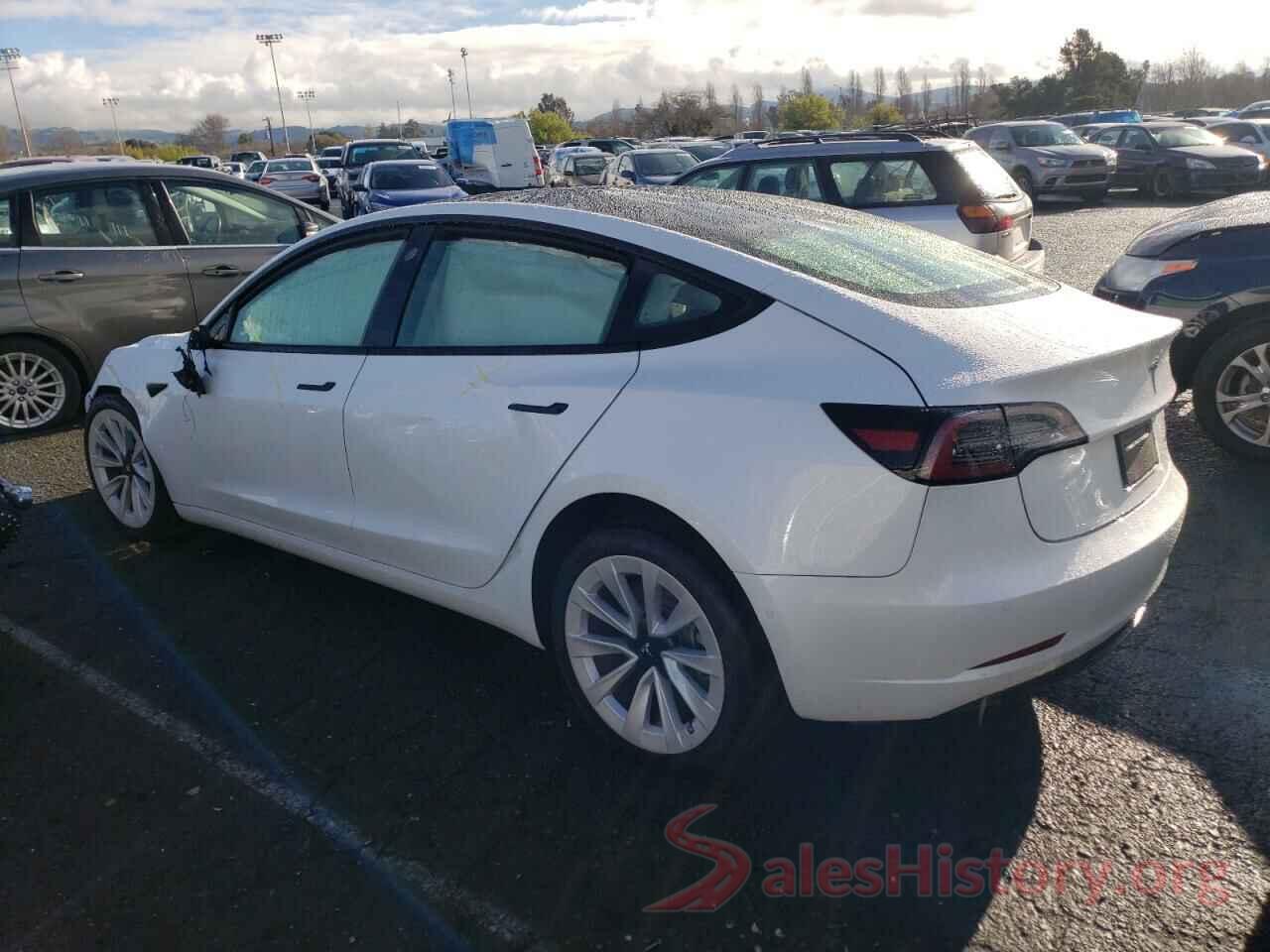 5YJ3E1EB0MF032548 2021 TESLA MODEL 3